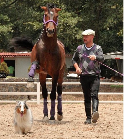 LA DIMENSIÓN ESPIRITUAL DE LOS CABALLOS